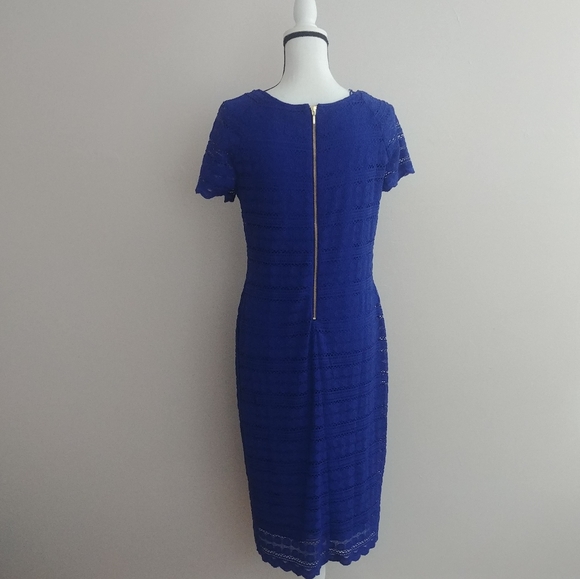 Apt 9 Dress with Gold Exposed Zipper - Picture 8 of 8